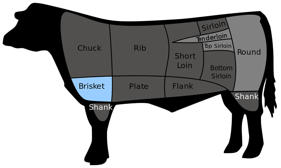 What is a Brisket?